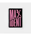 دفتر Stray Kids — إصدار "MAXIDENT" — Stray Kids Limited Edition