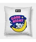 Bt21 K pop Pillow — Casual Ver.