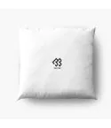 Btob Cushion — Silver Classic Ver.