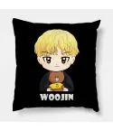وسادة ديكور Stray Kids — إصدار "WOOJIN" — Stray Kids Limited Edition