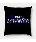 Stray Kids K pop Pillow CLE LEVANTER — Black Edition