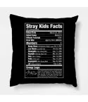 وسادة ديكور Stray Kids — إصدار "Nutritional Facts" — Stray Kids Limited Edition