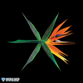 Official Album EXO Album THE WAR النسخة الصينية