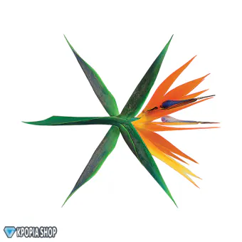 Official Album EXO Album THE WAR النسخة الكورية