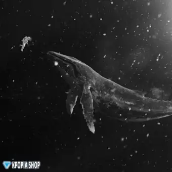 Official Album EXO Winter Special Album Sing For You النسخة العشوائية