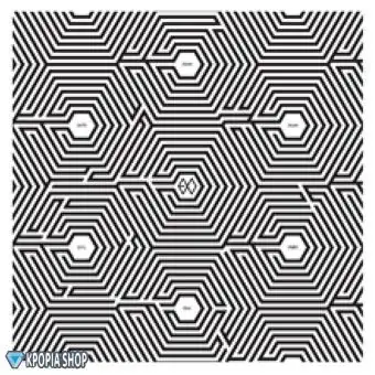 البوم اصلي EXOM Mini Album Vol2