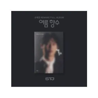 SON TAE JIN 1st Remake Album 여름 향수 CD