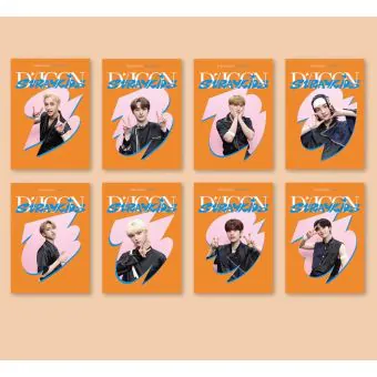 Official DICON DFESTA MINI EDITION Stray Kids RANDOM VER