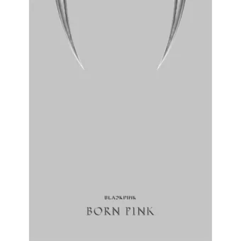 البوم اصلي النسخة الكاملة BLACKPINK 2nd BORN PINK BOX GRAY ver