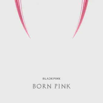 البوم اصلي BLACKPINK 2nd ALBUM BORN PINK KiT ALBUM