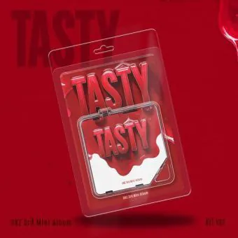 DKZ TASTY KiT Ver. contents including kit device, photo cards, and ball chain