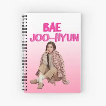 Red Velvet Journal Bae Joohyun — Silver Casual Ver.