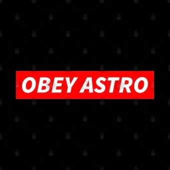 Astro Plush Pillow — Black Edition