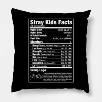 وسادة ديكور Stray Kids — إصدار "Nutritional Facts" — Stray Kids Limited Edition