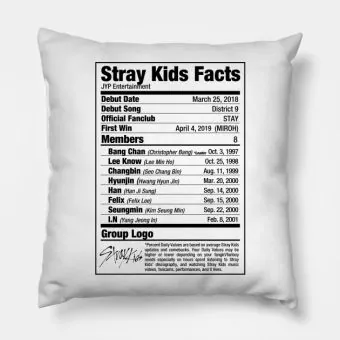 Stray Kids Throw Pillow Nutritional Facts — Silver Retro Ver.
