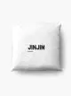 ASTRO Pillow - JINJIN - Collection #1