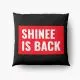 SHINee Pillow - Fandom Collection #42