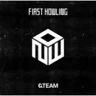 البوم اصلي TEAM JP 1st First Howling NOW Standard CD