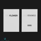 البوم اصلي النسخة الكاملة PENOMECO EP Album Dry Flower