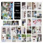 BTS Photocard Set Gift Pick — Beige Premium Ver.