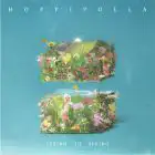 البوم اصلي HOPPIPOLLA Mini Album Vol1 Spring to Spring