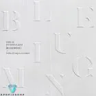 البوم اصلي CNBLUE Mini Album Vol6 BLUEMING B Ver