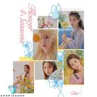 Official Album DIA Mini Album Vol6 Flower 4 Seasons Flower Ver