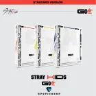 Official Stray Kids Vol1 GO生 Standard النسخة العشوائية