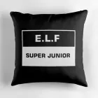 Super Junior Cushion — Beige Stylish Ver.