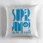 Super Junior Plush Pillow — Pink Edition