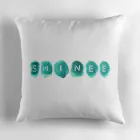 مخدة Shinee — إصدار "مخدة shinee" — Shinee Limited Edition