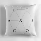 Exo Throw Pillow — Pink Classic Ver.