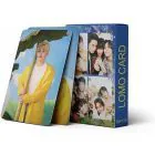 Seventeen LOMO Cards CARAT Collector Edition — Beige Edition