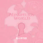 BLACKPINK THE GAME Photocard Collection — Miniature World