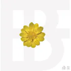 Official Album BF Mini Album 설화