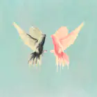 Official Album EPIK HIGH Album Vol10 Epik High Is Here