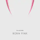 Official Album BLACKPINK 2nd ALBUM BORN PINK KiT ALBUM