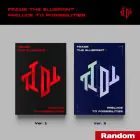 Official Product TIOT Frame the Blueprint Prelude to Possibilities Random Ver