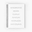 دفتر حلزوني Apink — إصدار "Members" — Apink Limited Edition