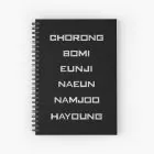 دفتر Apink — إصدار "Members Names" — Apink Limited Edition