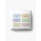 Astro K pop Pillow — Gold Classic Ver.