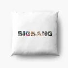Big Bang Cushion Signature — Navy Premium Ver.