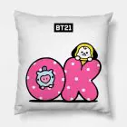 Bt21 K pop Pillow — Premium Ver.