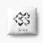 Btob K pop Pillow — White Edition