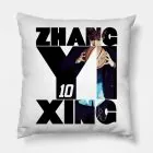 Exo Throw Pillow — Pink Exclusive Ver.