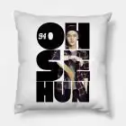 Exo K pop Pillow — Beige Edition