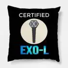 Exo Throw Pillow — Black Retro Ver.