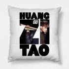 Exo Throw Pillow — Green Collectible Ver.