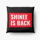 Shinee Cushion Signature — Green Exclusive Ver.