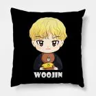 Stray Kids K pop Pillow WOOJIN — Red Retro Ver.